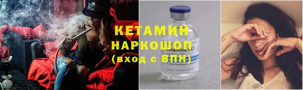трава Осинники