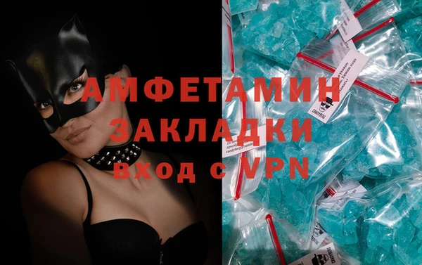 трава Осинники