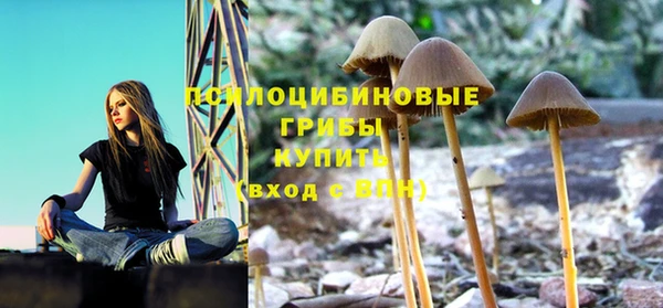 мяу мяу кристалл Осташков