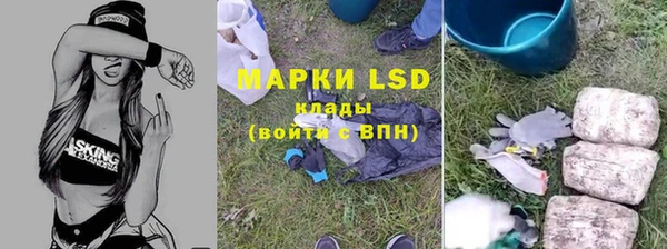трава Осинники