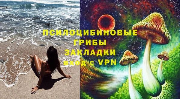 трава Осинники