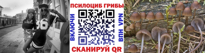 Псилоцибиновые грибы мицелий  Купить  Семёнов 